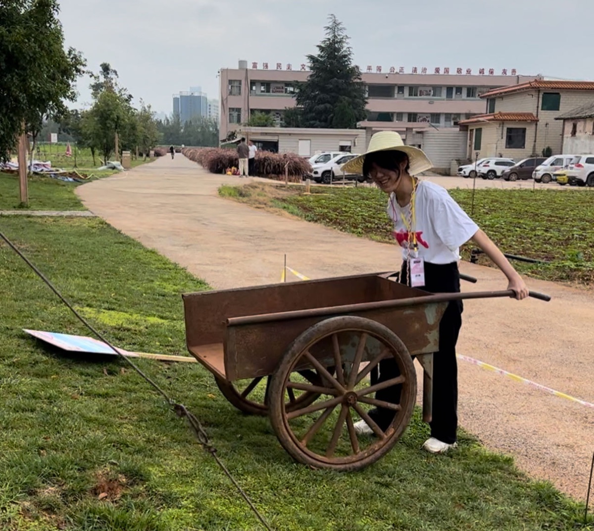 Kaleidoscope detail 8