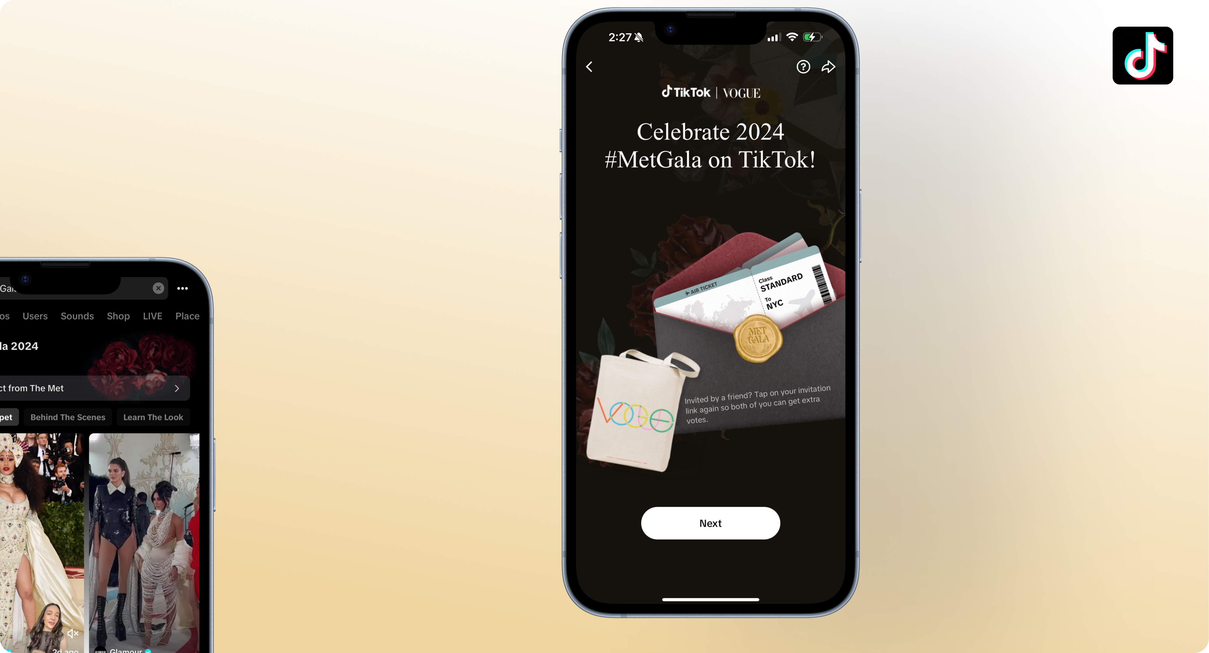TikTok Met gala